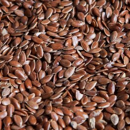 Flax Seeds