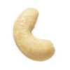 cashew